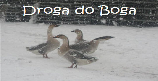 Droga do Boga Rotator